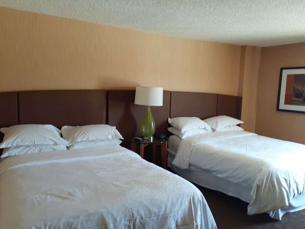 Sheraton Albuquerque Airport Hotel - photo 10