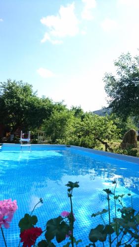 Doroga Dodomu in Vorokhta, Ukraine