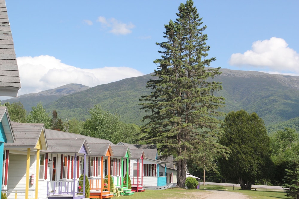 Mount Jefferson View in Randolph, United States