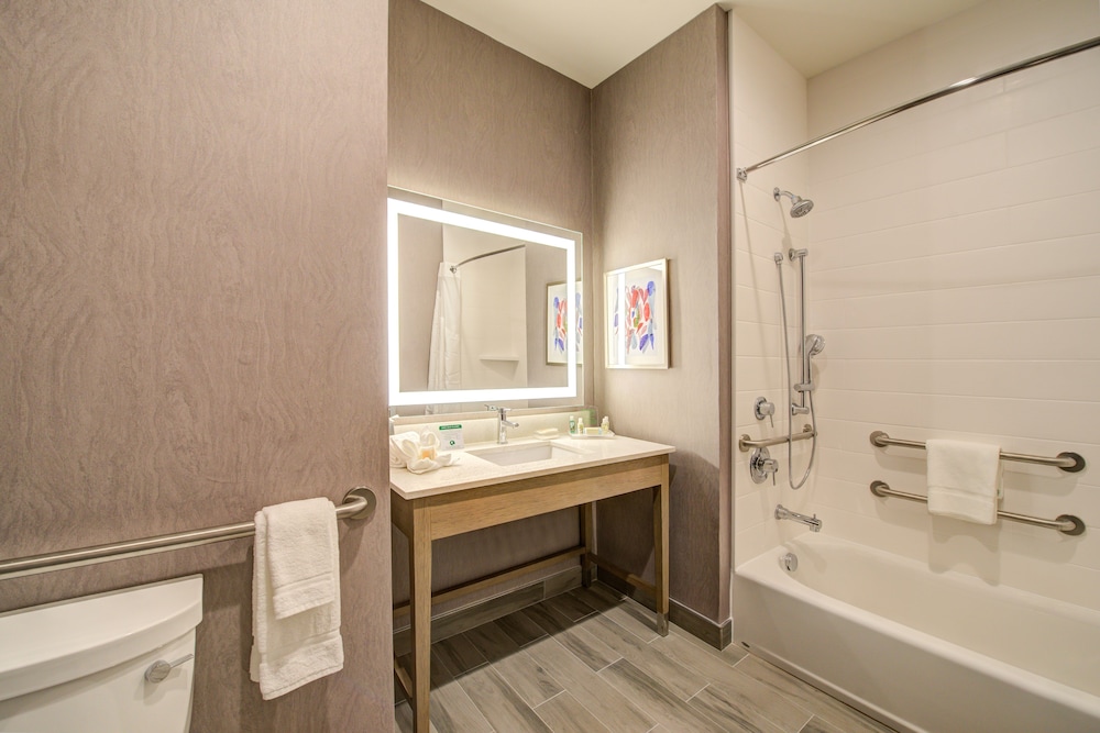 Holiday Inn Hotel & Suites Houston West Katy Mills by IHG - photo 20
