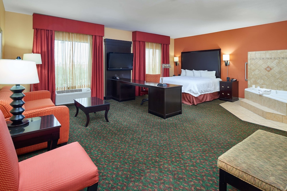 Hampton Inn & Suites Waco South - photo 20