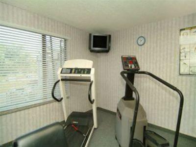 Best Western Mountain View Inn - photo 5