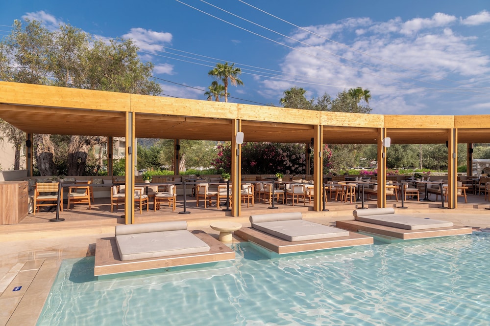 מראה חיצוני