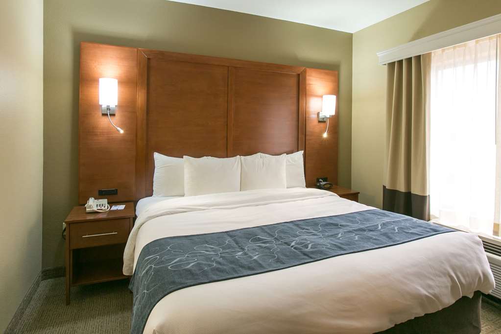 Comfort Suites Austin NW Lakeline - photo 19