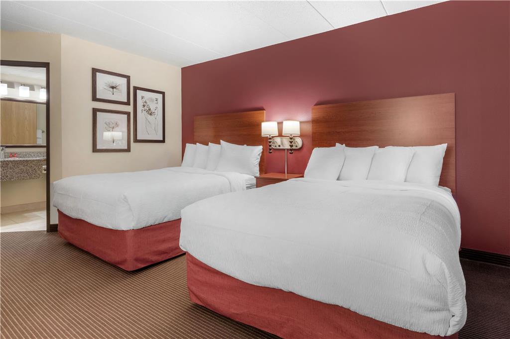 SureStay Plus Hotel by Best Western Litchfield - photo 5