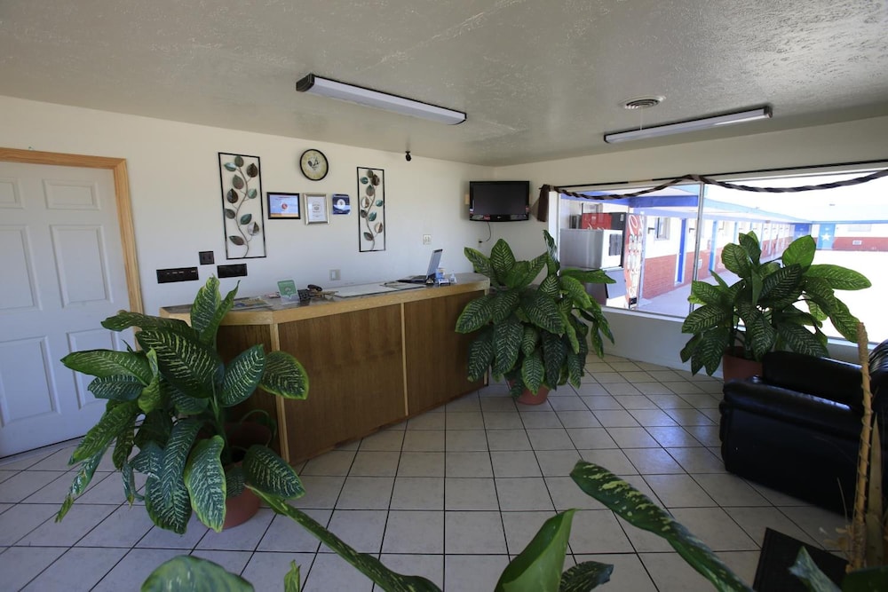 Shamrock Country Inn - photo 4