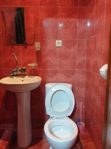 Apartmnet on Machabeli 20
