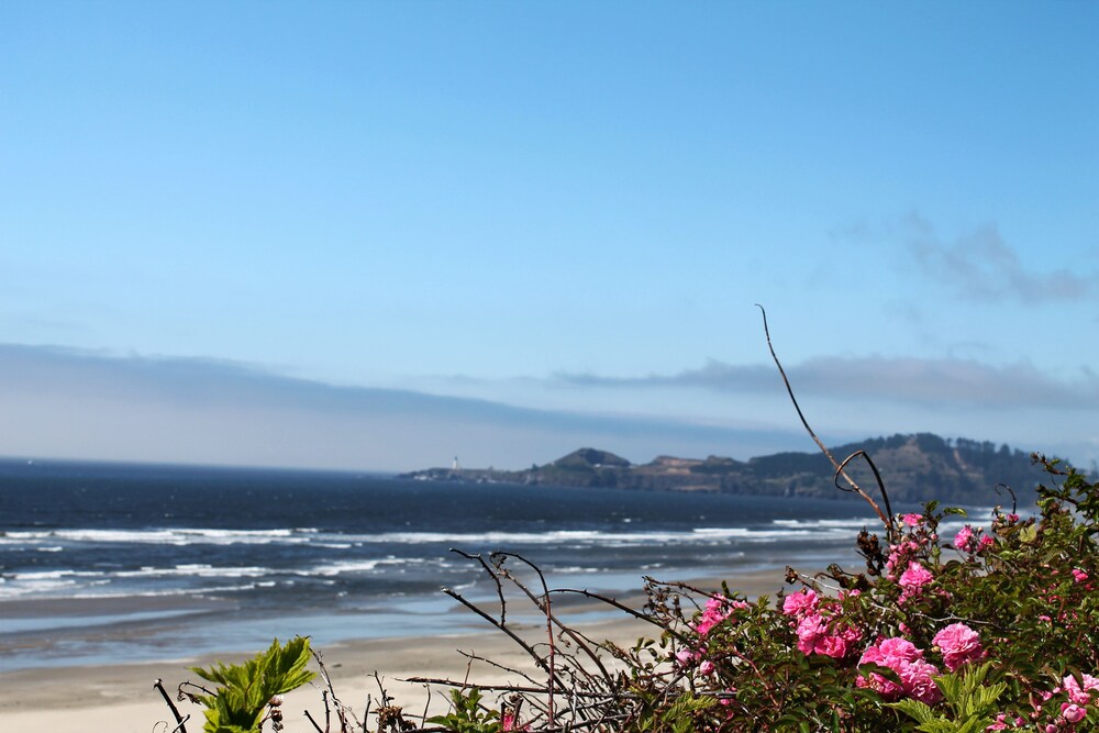 Inn at Nye Beach - photo 81