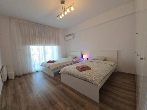 Sunny Rooms