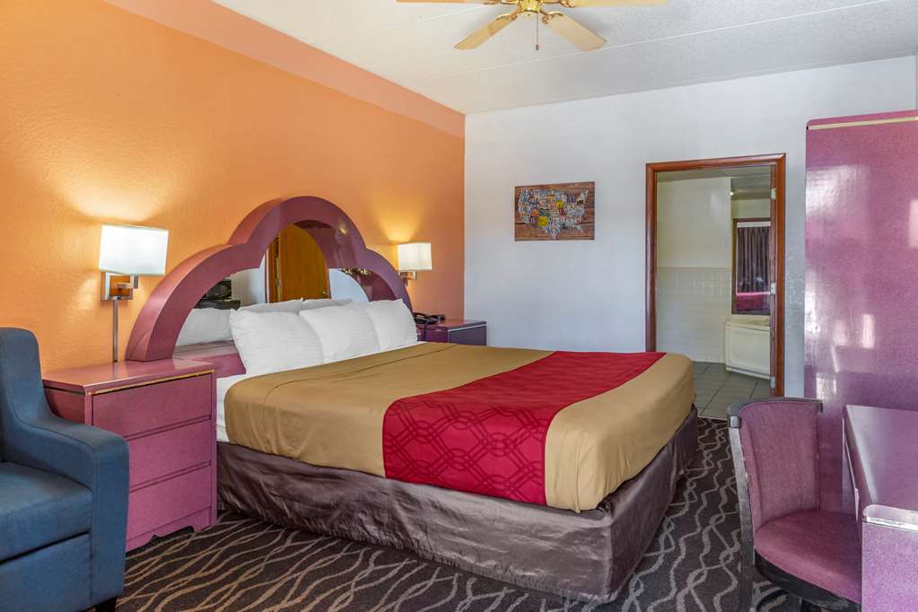 Econo Lodge Inn & Suites Albany North - photo 19