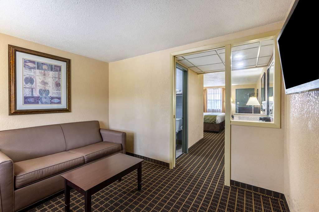Quality Inn & Suites Big Rapids near University - photo 25