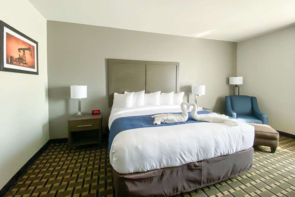 Comfort Inn Owasso Tulsa - photo 6