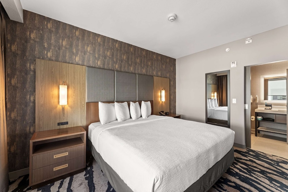 Embassy Suites by Hilton Irving Las Colinas - photo 16