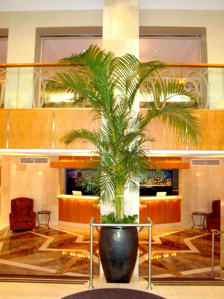 San Carlos Hotel - photo 7