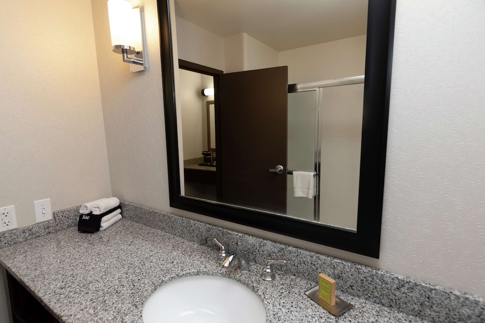 President Abraham Lincoln Springfield DoubleTree by Hilton - photo 36