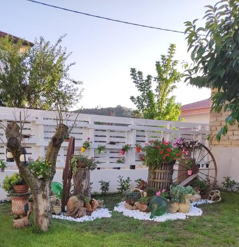 Case Di Bacco — Agropoli — photo 3