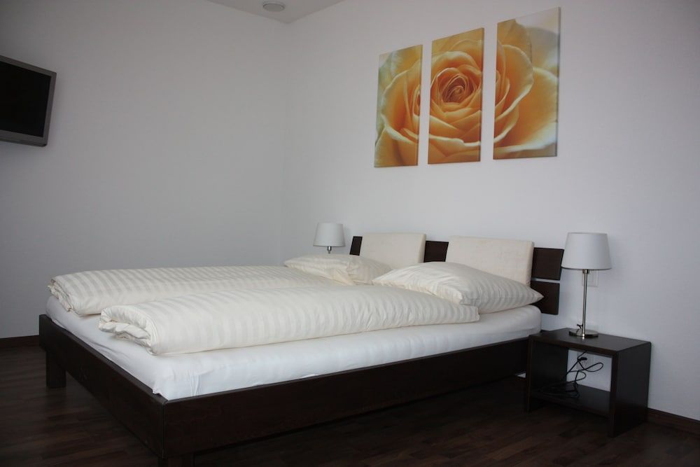 Swiss Star Franklin in Zurich, Switzerland