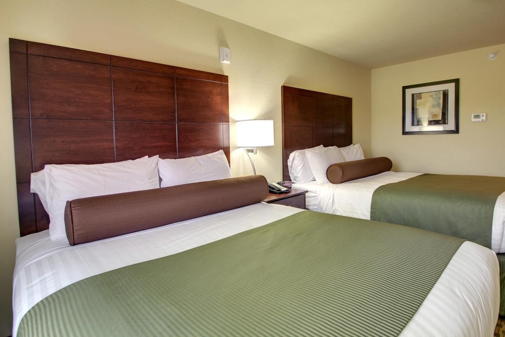 Cobblestone Inn and Suites Winterset - photo 40
