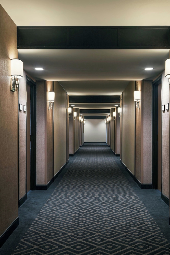 Sheraton Charlotte Airport Hotel - photo 13