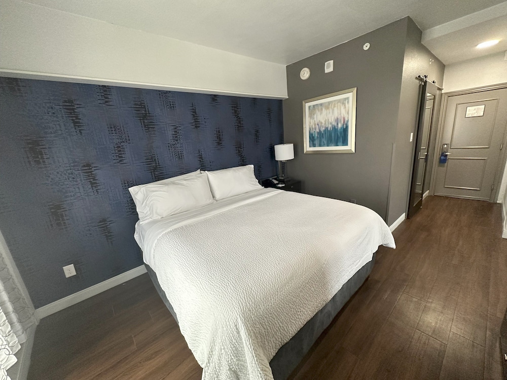 Holiday Inn Express Dallas Downtown - photo 19