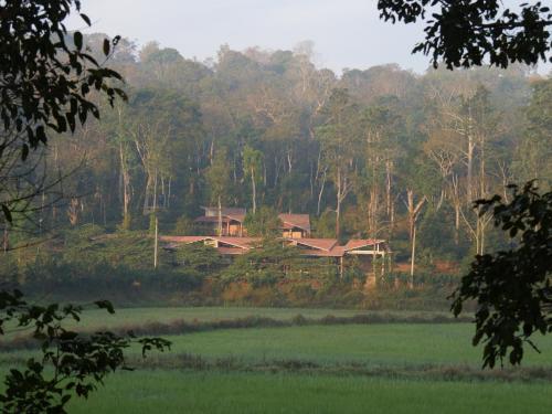 Estate Stay Riverside Coffee — Siddapur — photo 2