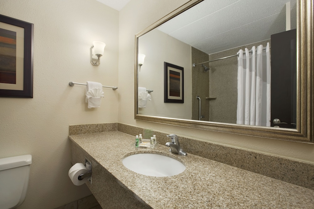 Holiday Inn Hotel & Suites Charleston West by IHG - photo 28