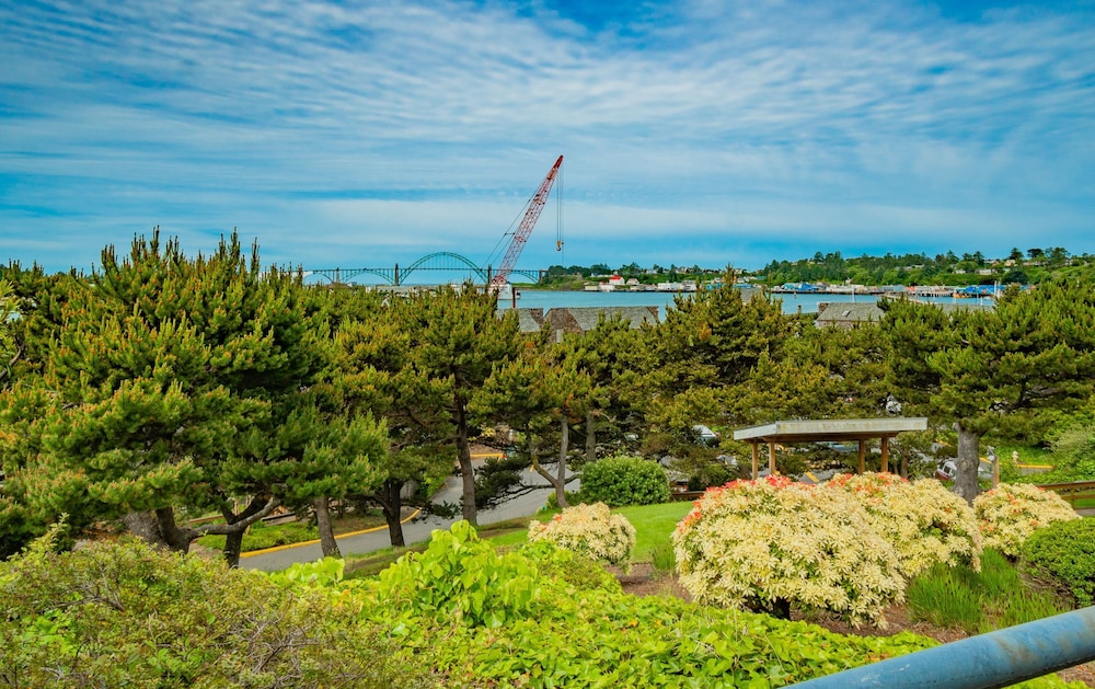 Embarcadero Resort Hotel & Marina - photo 55