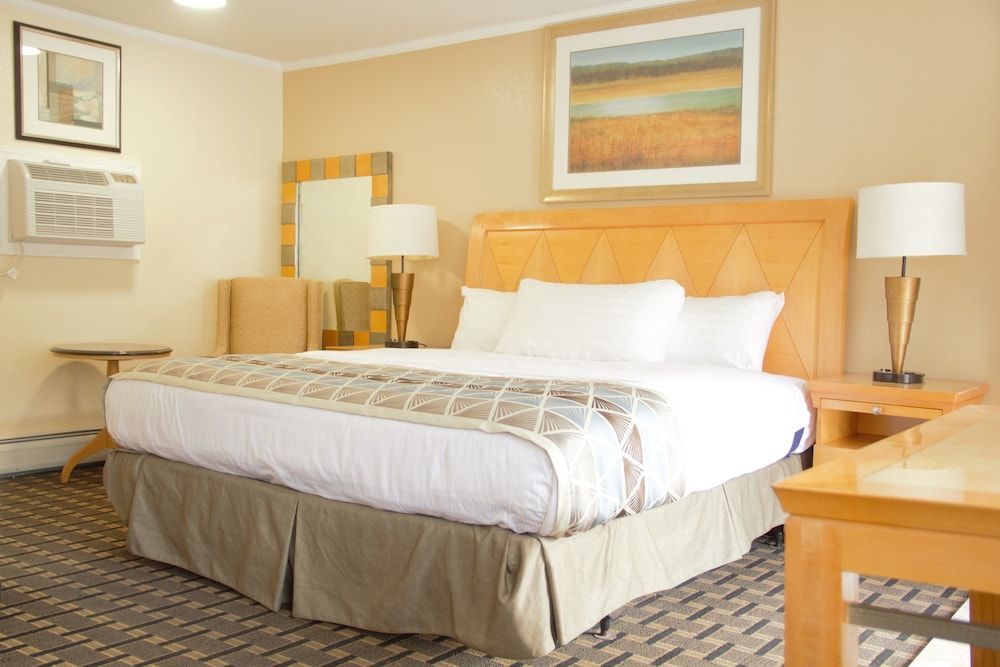 Mount Royal Inn - photo 5