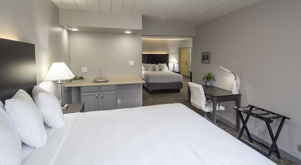 Americana Modern Hotel - photo 6
