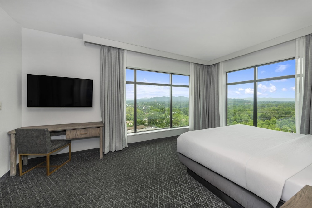Embassy Suites By Hilton Asheville Downtown - photo 21