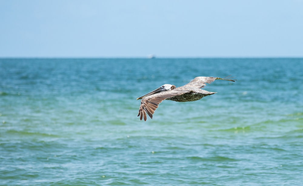 Messina Vacation Rental at Lely Resort. Spacious 3 BR 2 Bath Condo with Lake Views and Handicap Accessibility. Enjoy Community Pool Hot Tub and Proximity to Naples Beaches and Dining - photo 32