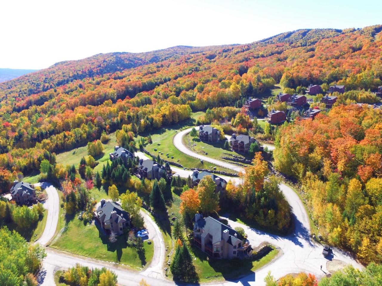 C1 Top Rated Ski In Ski Out Townhome Great views fireplaces fast wifi AC Short walk to slopes - photo 32