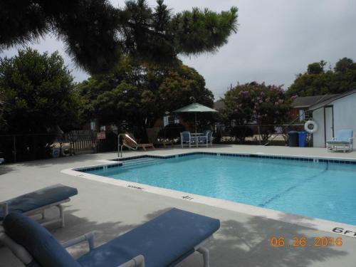 Cape Pines Motel - photo 9