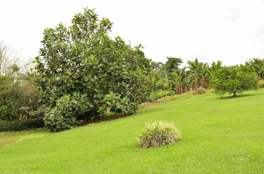 Hotel Campestre Camino Del Parque in Montenegro, Colombia