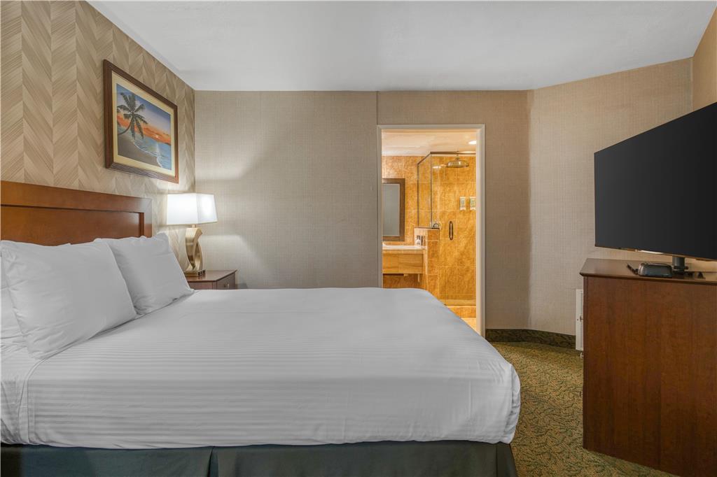 Best Western Seven Seas - photo 18