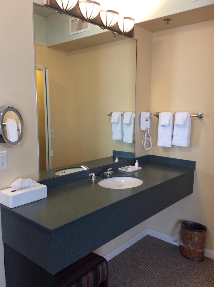 Senator Inn & Spa - photo 65