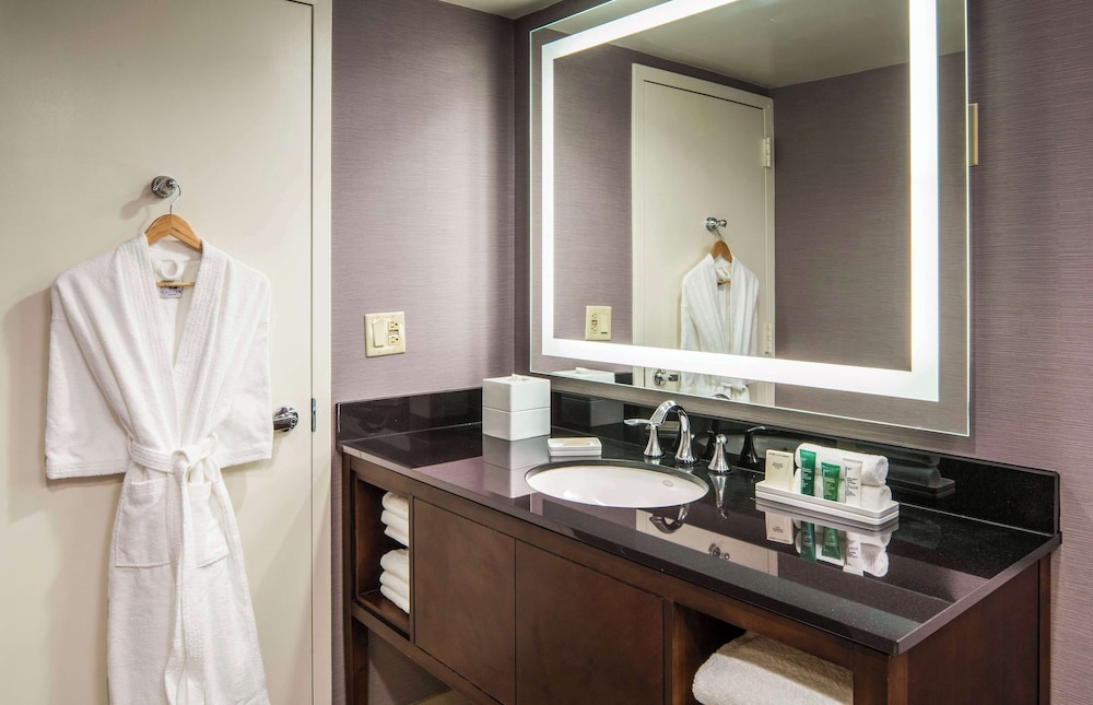 Hilton Washington DC Rockville Hotel & Executive Meeting Ctr - photo 20