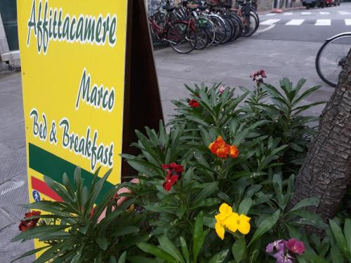 Affittacamere Marco in Levanto, Italy