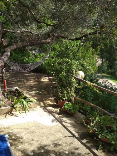 B&B S’Archiotta — Buggerru — photo 2
