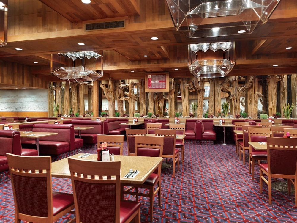 Cactus Petes Resort Casino & Horseshu Hotel - photo 17