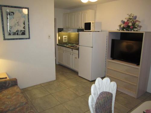 Apollo Resort Motel - photo 28