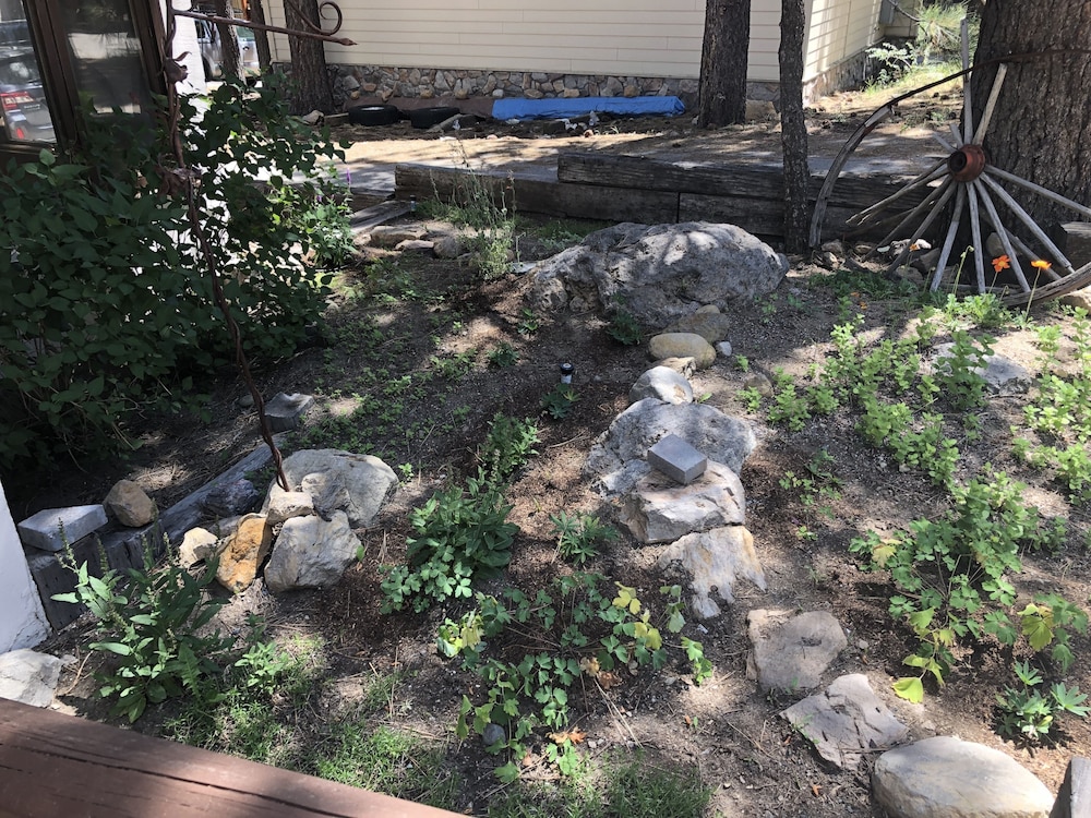 The Mammoth Inn - photo 51