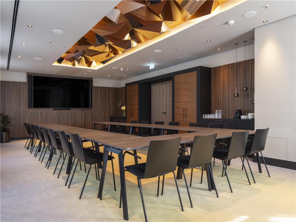 ICONS EHBB Conference MeetingRoom