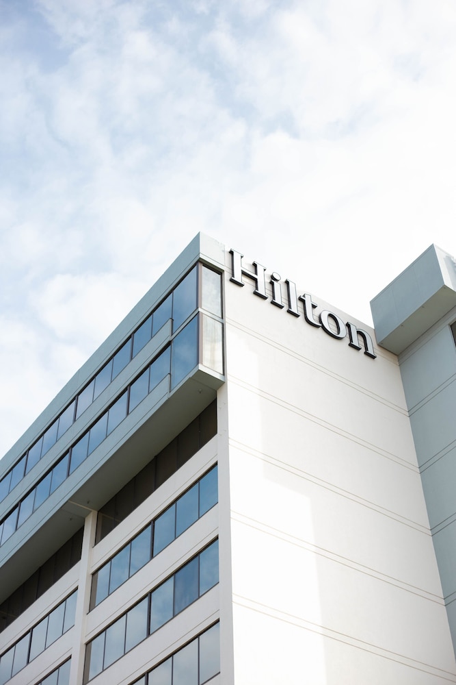 Hilton Palm Beach PBI - photo 175