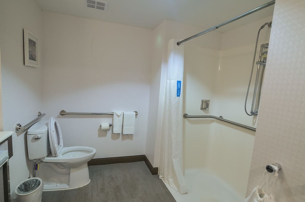 Hampton Inn Ft Payne - photo 5