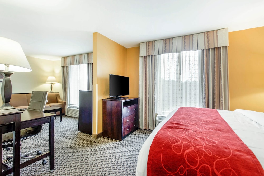 Comfort Suites Clinton near Presbyterian College - photo 7