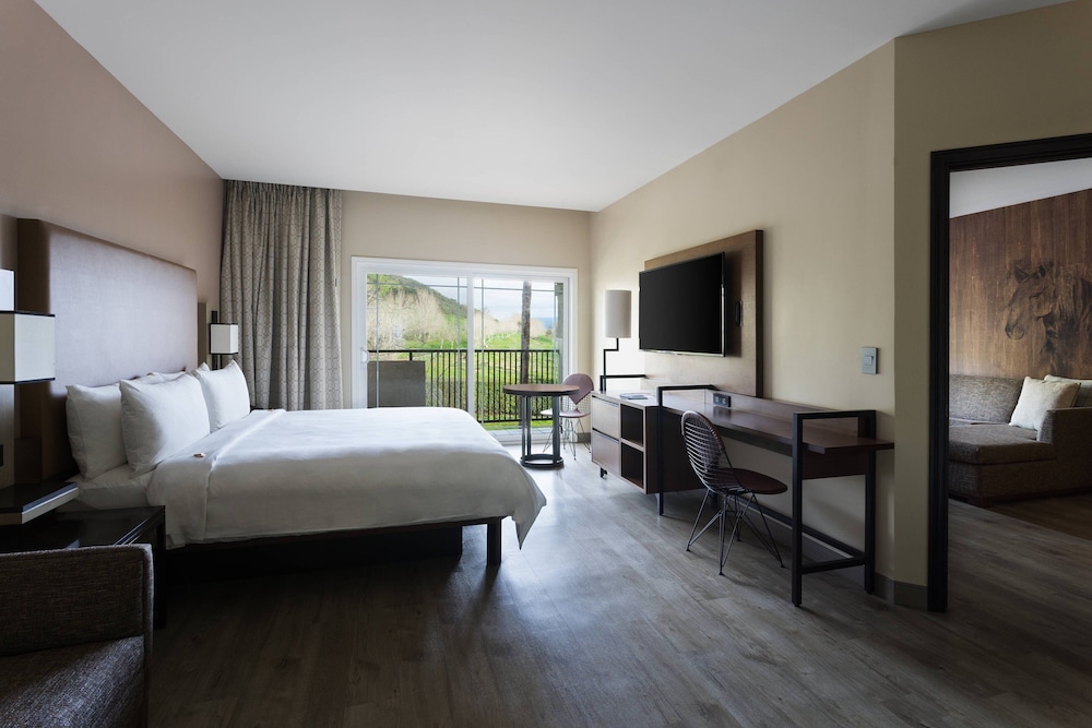 Santa Ynez Valley Marriott - photo 11
