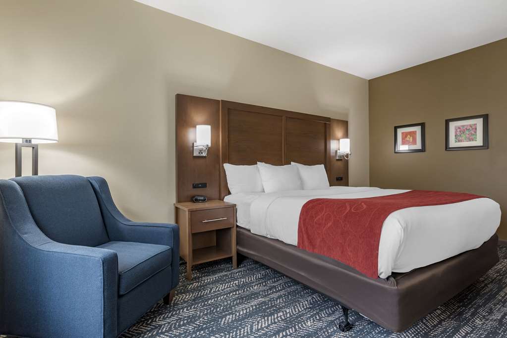 Comfort Inn & Suites Downtown near University - photo 7