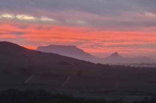 Devon View Olive Farm — 4-Star Luxury Hotel in Stellenbosch, South Africa