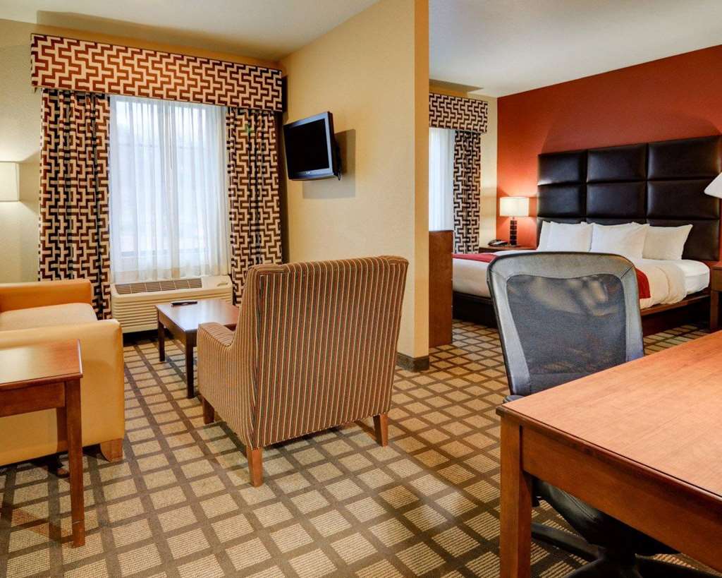 Comfort Inn & Suites Fort Smith I 540 - photo 43